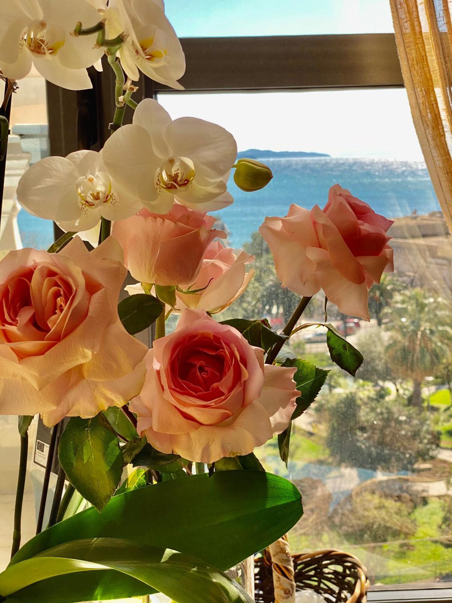 Amarilis Luxury Apartments Sarande Luaran gambar